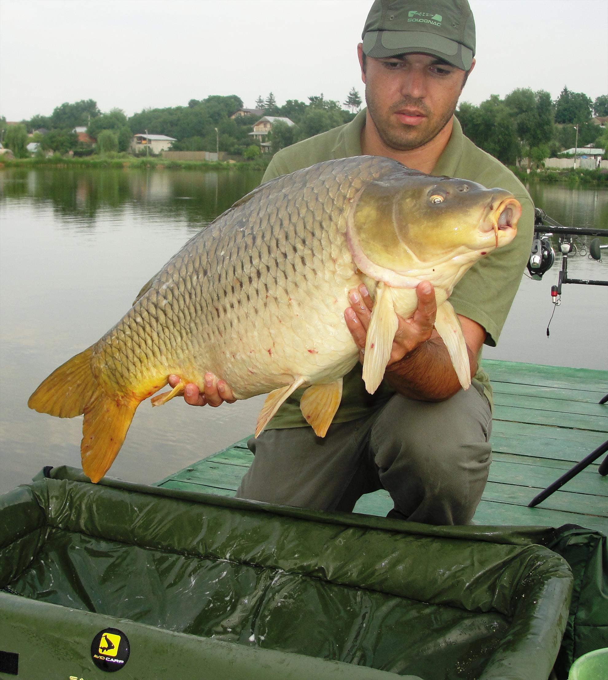 Moara Vlasiei 2 13 - 14 iul. - dsc00840.JPG